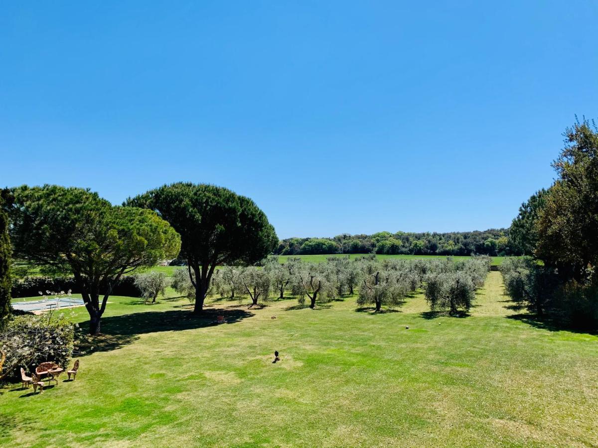B&B Valle D'Oro Ansedónia Exterior foto